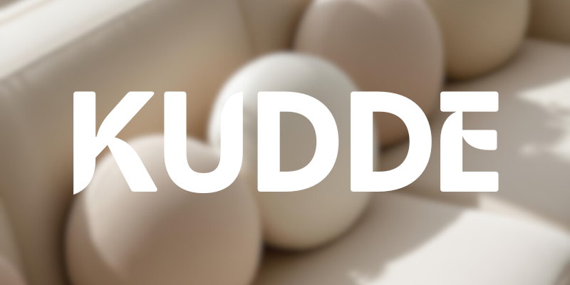 gros coussin pour canapé