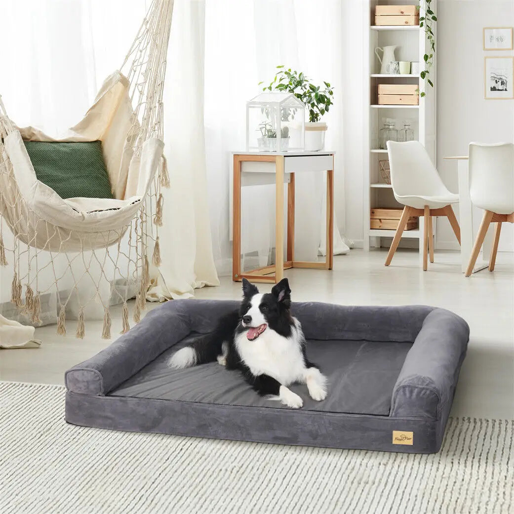 Coussin chien xxl