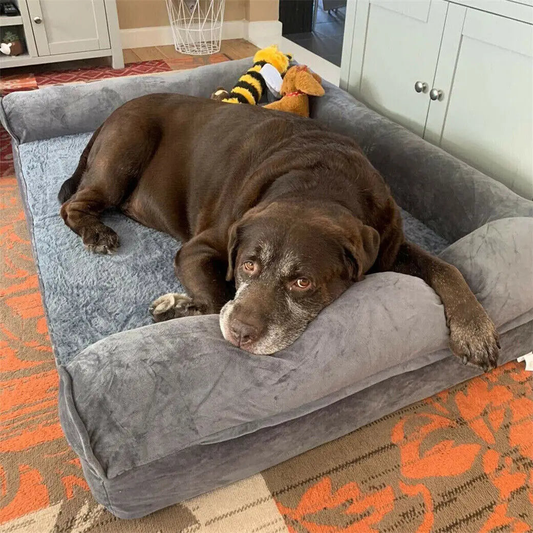 Coussin chien xxl