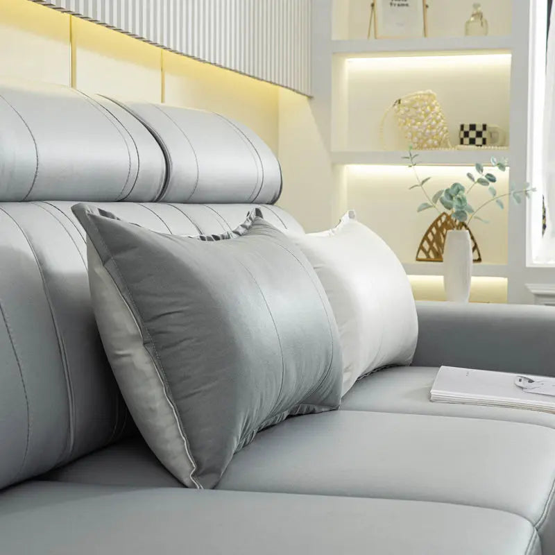 Coussin cuir canapé