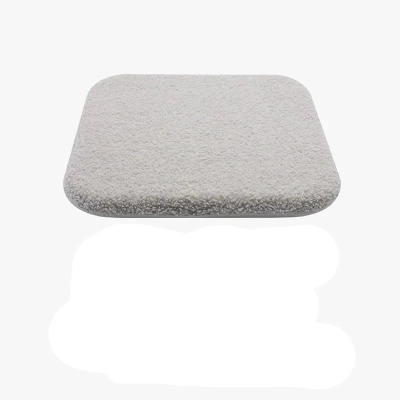 Coussin de chaise velours
