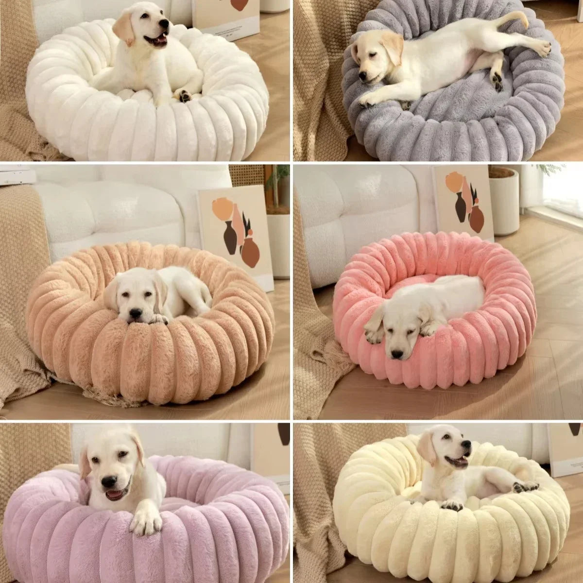 Coussin petit chien