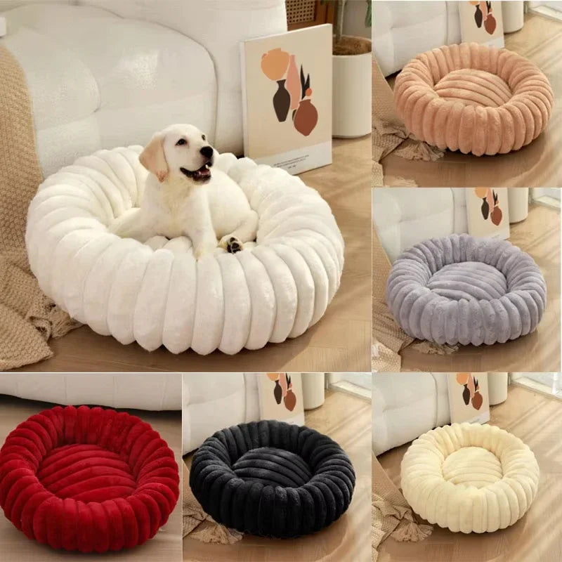 Coussin petit chien