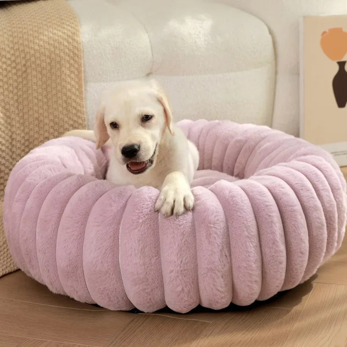 Coussin petit chien