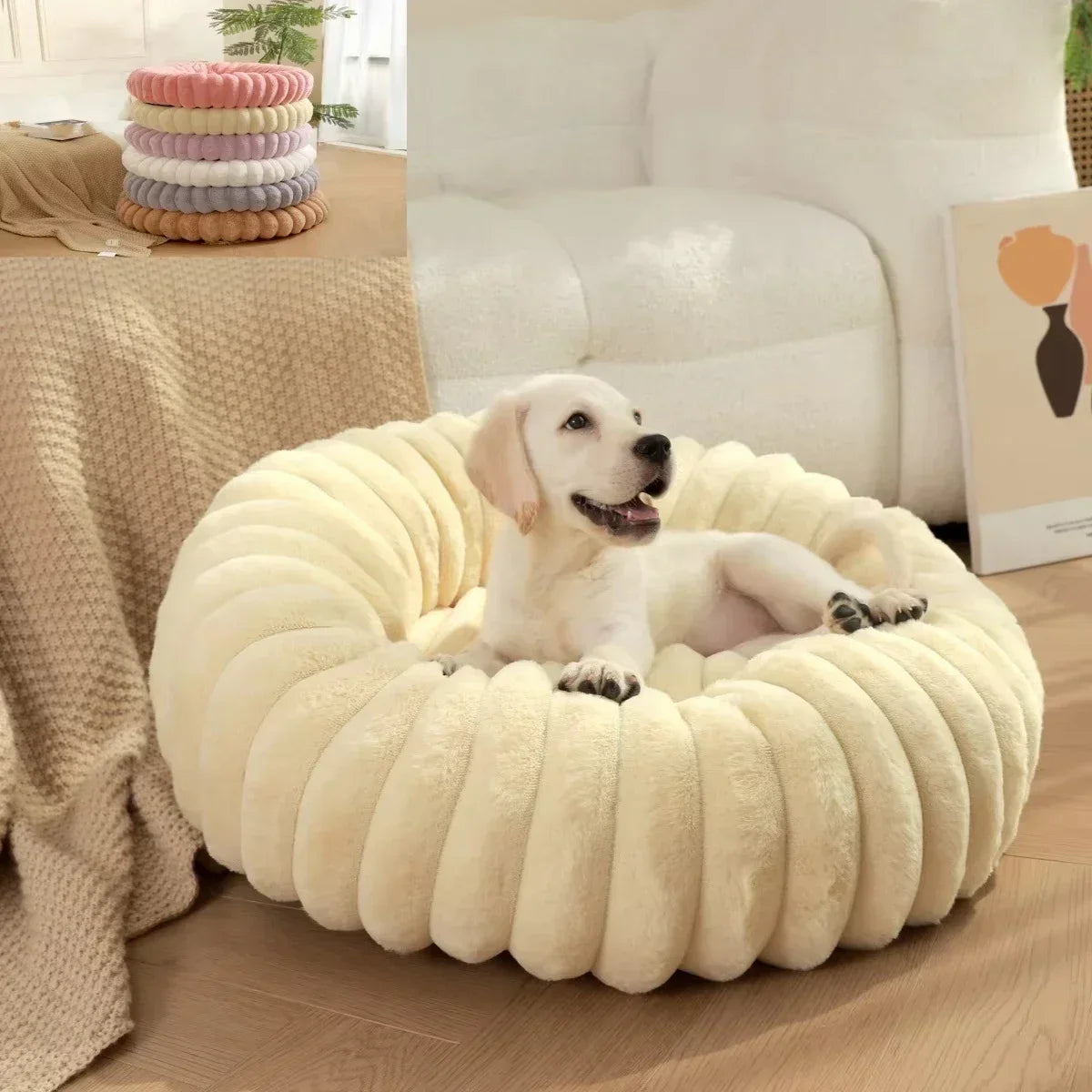 Coussin petit chien